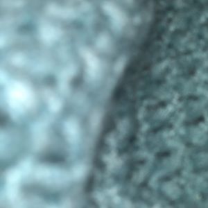 Meet your Posher, Daisy